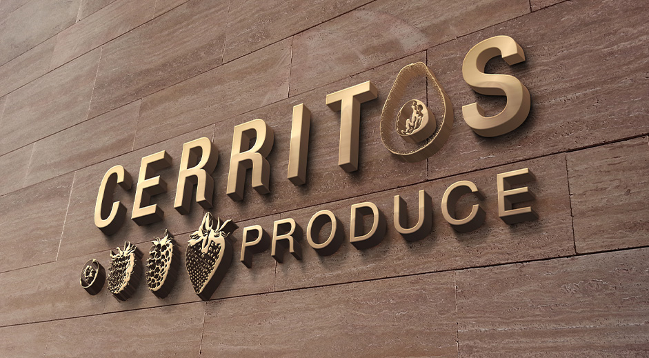 國外優(yōu)秀VI設(shè)計(jì)第三十六輯