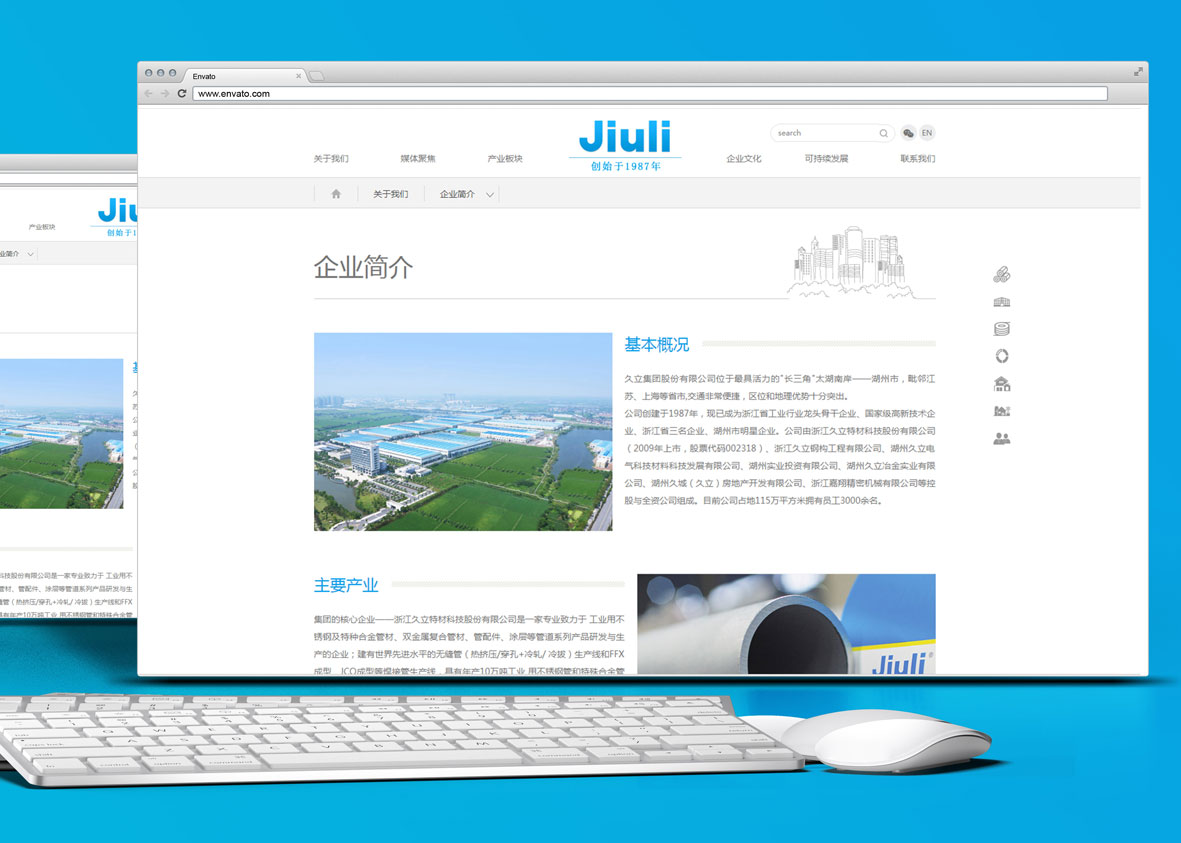 高端網站制作公司“用實力打造獨特”