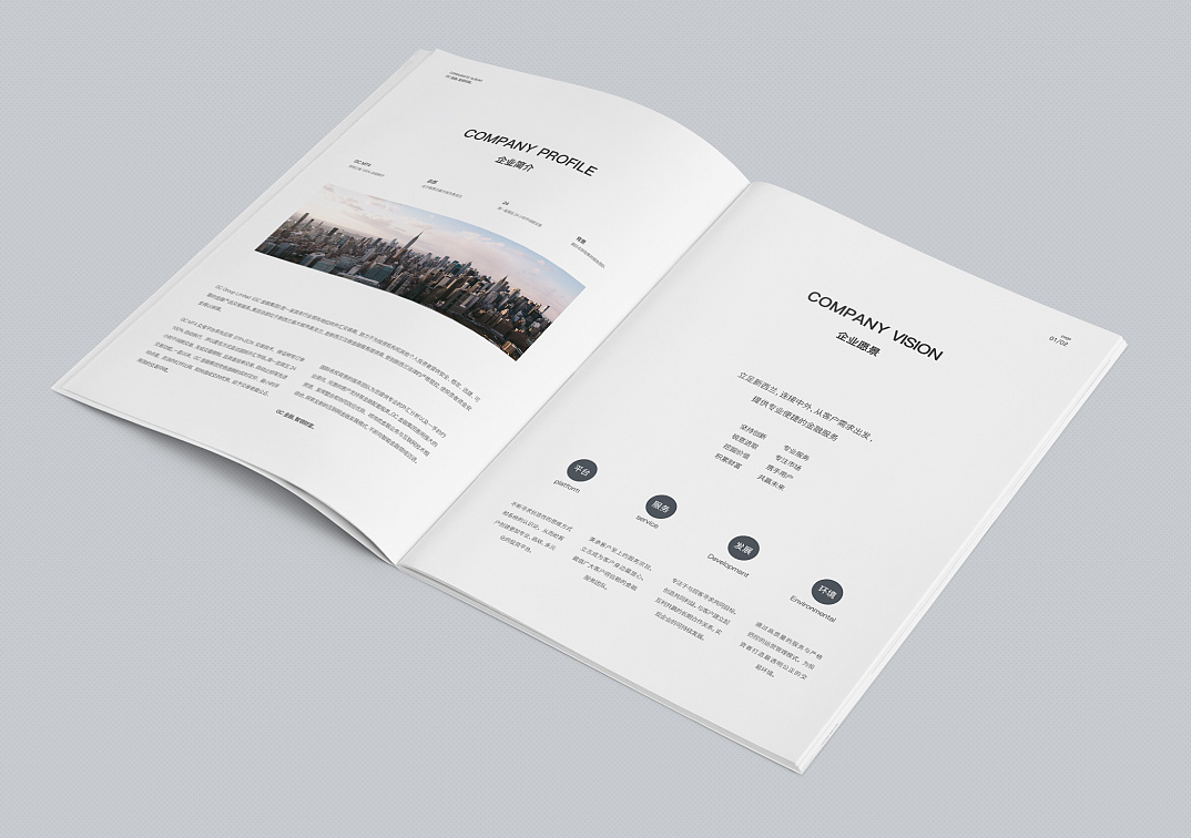 公司畫(huà)冊(cè)設(shè)計(jì)漫談