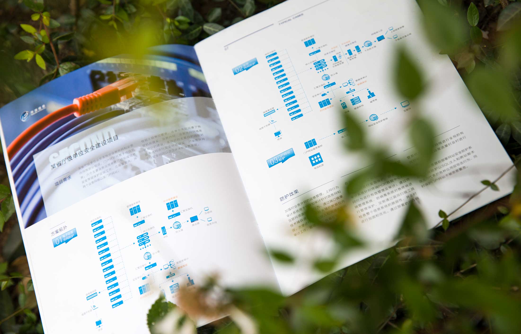 1625887943975821.jpg 9300138.JPG